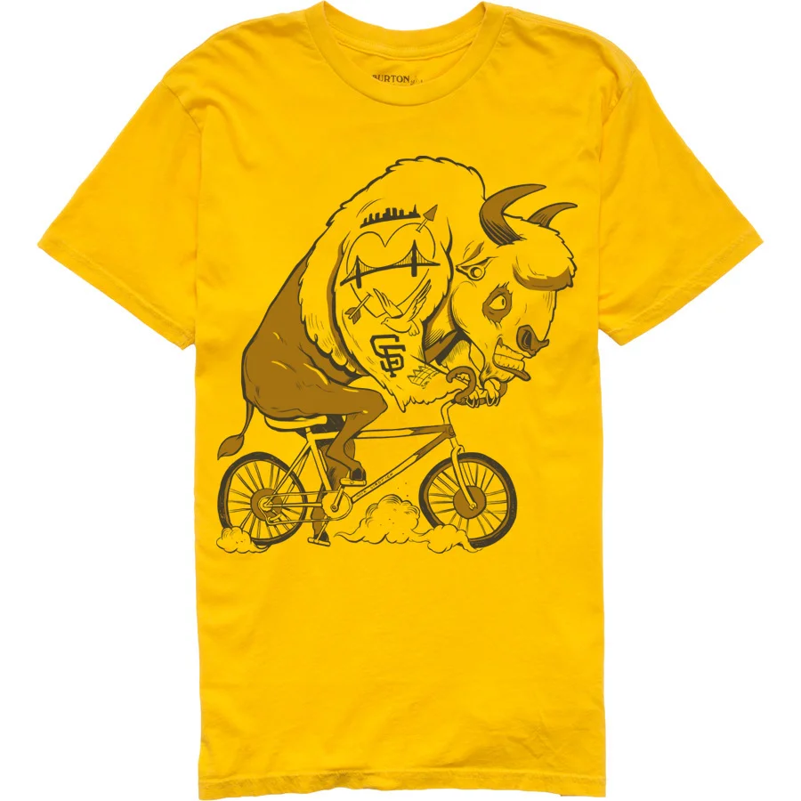 DSF - BisonBike