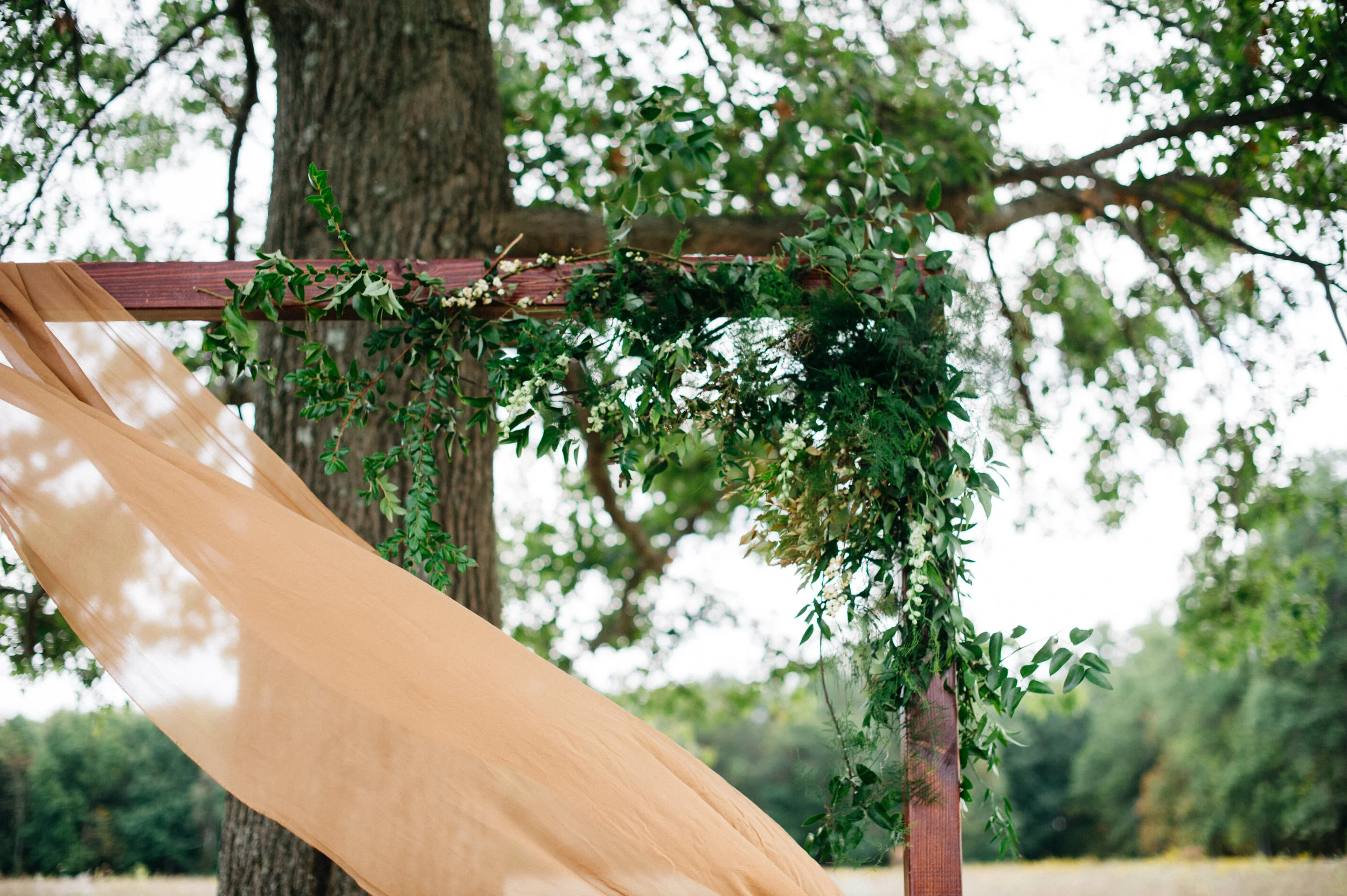 Ashley Wallace Photography