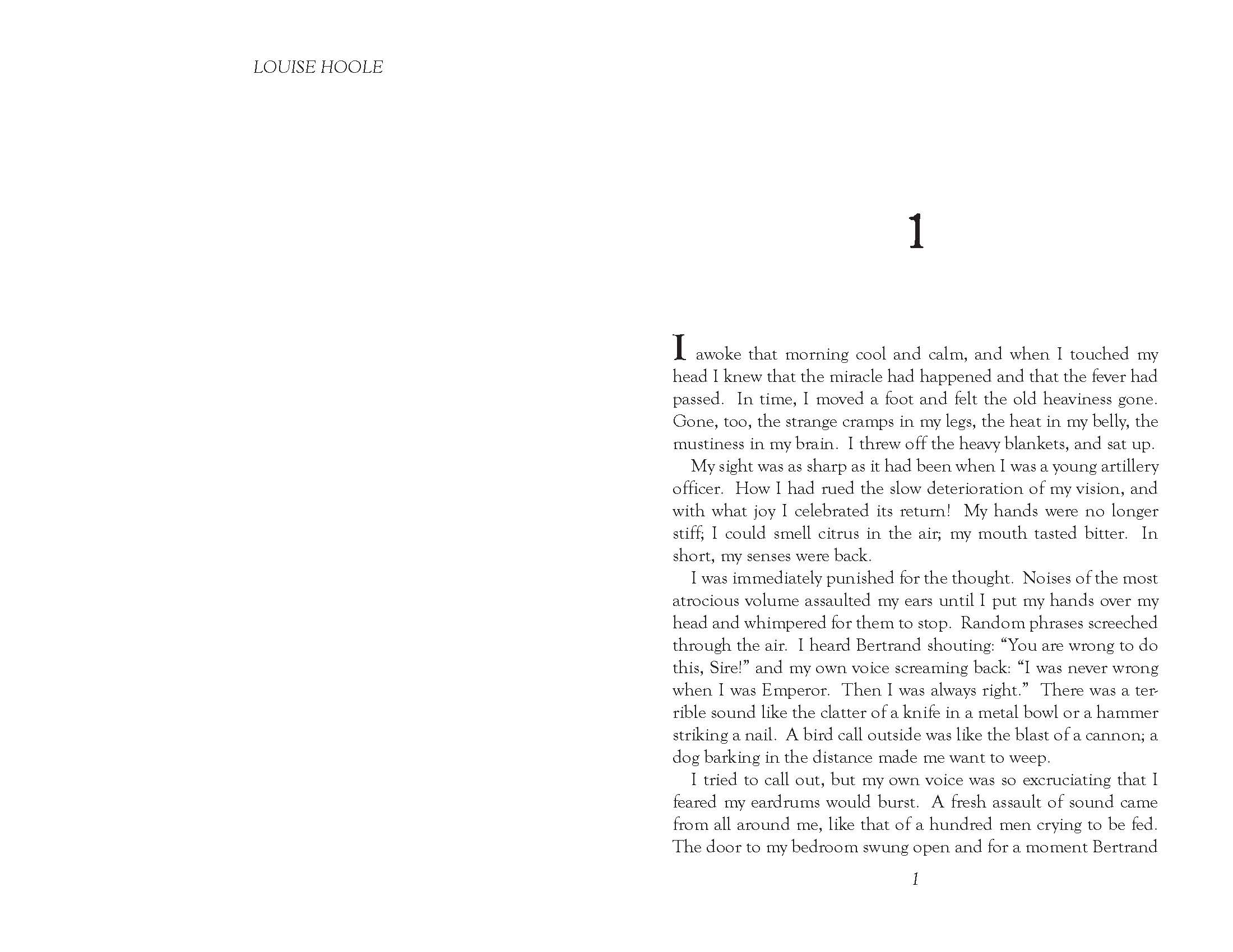 A look inside the book.