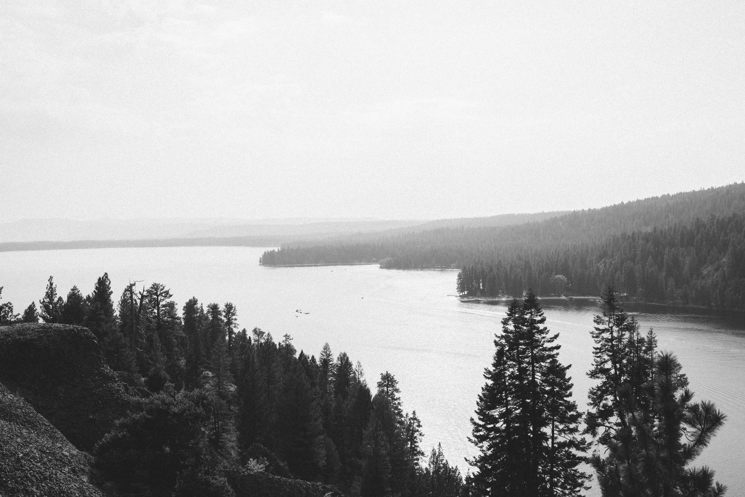 Letting Go of Jealousy as a Photographer