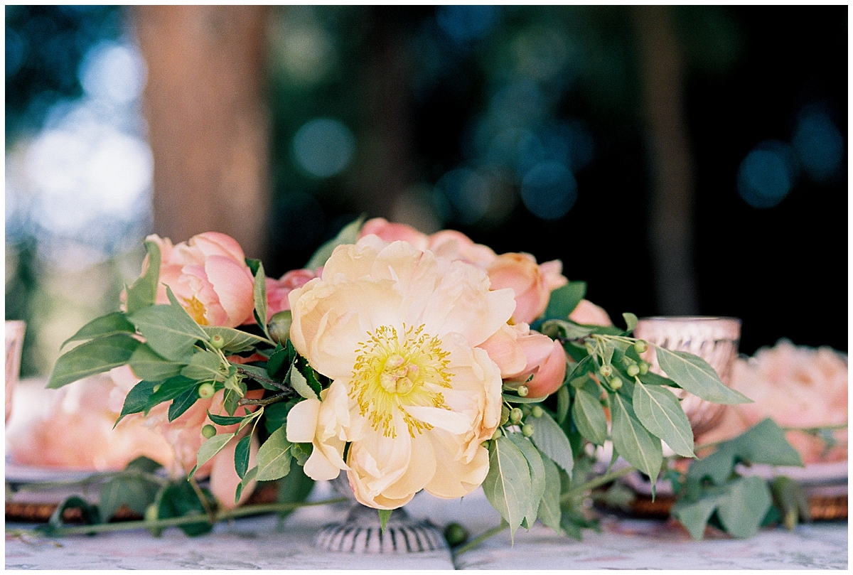 boise wedding photographer