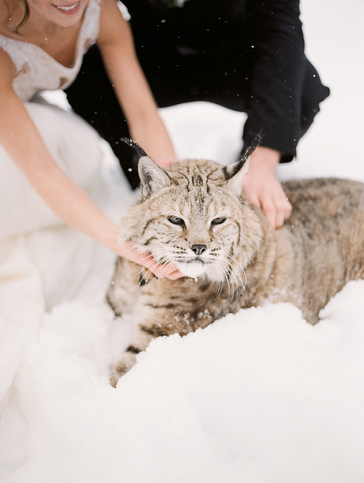 McCall Wedding Photographer