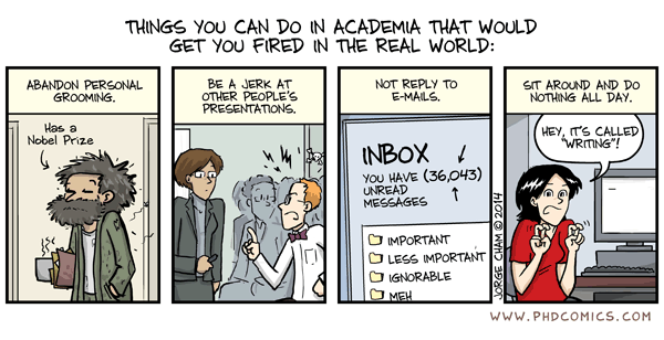 Post-academic Career Opportunities