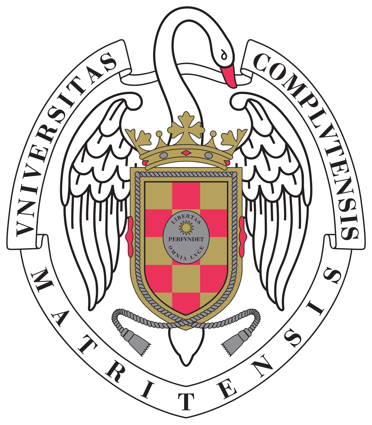 Postdoctoral researcher on medical physics at Universidad Complutense de Madrid