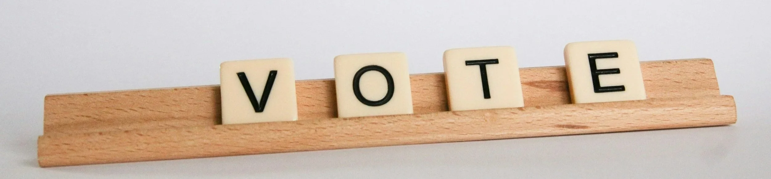 GAPS General Meeting and GAPS Elections