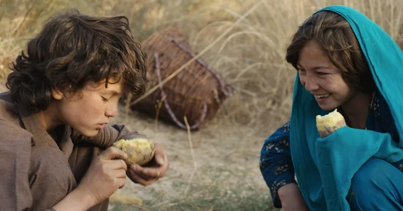 Chicago International Film Festival 2016: Wolf and Sheep