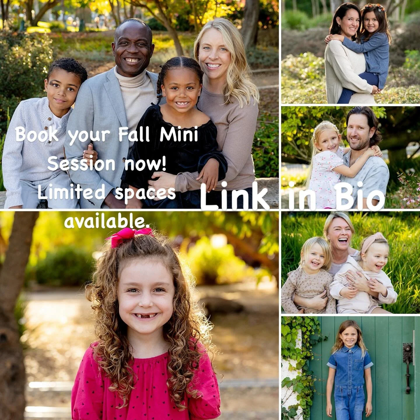 It’s that time of year! My Mini Session booking calendar is available! 📸 Click the link in my bio. I’m looking forward to our session!💫