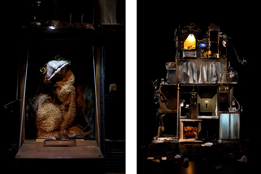 LossMachineBirdSet3.jpg