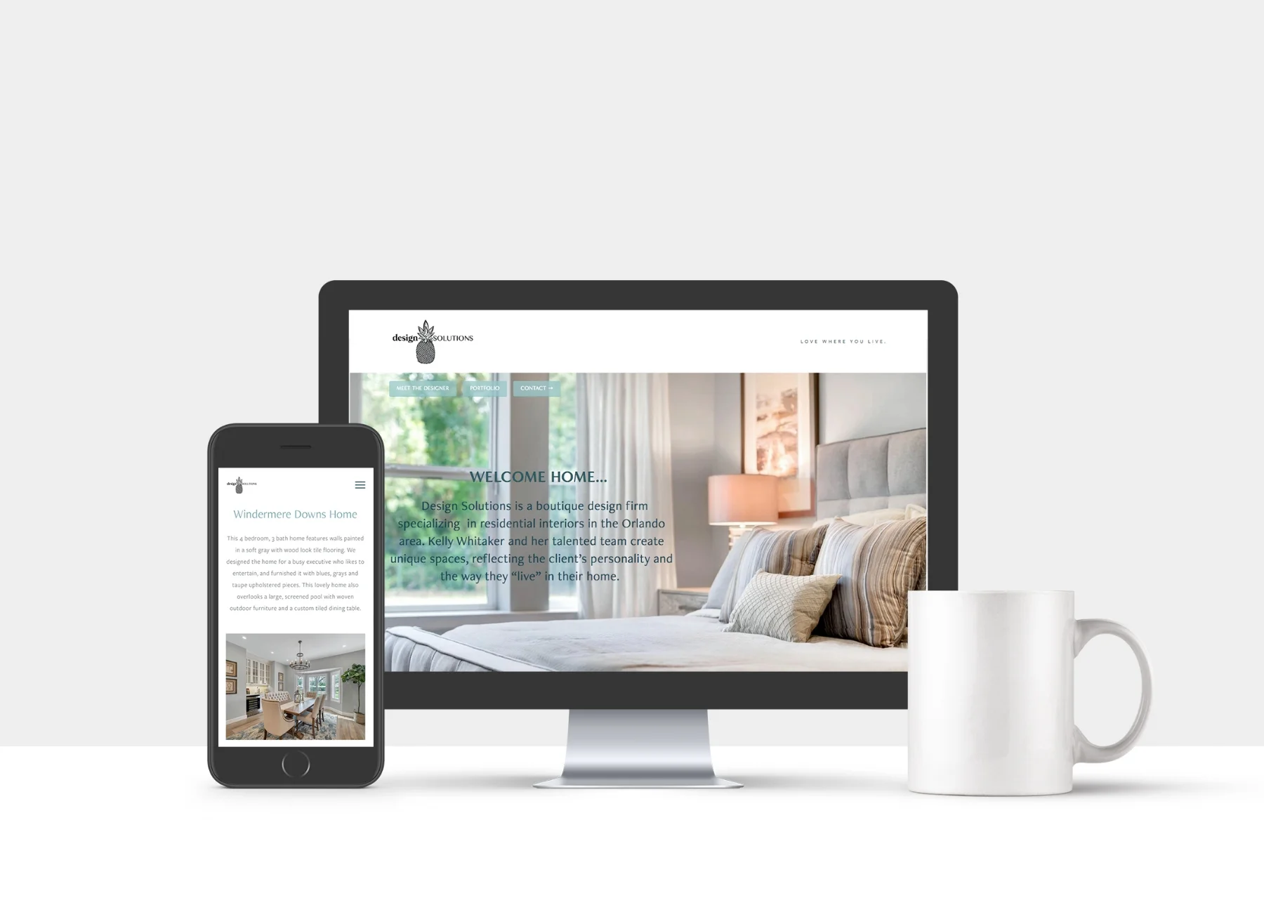 Design Solutions Orlando Website Designer.jpg