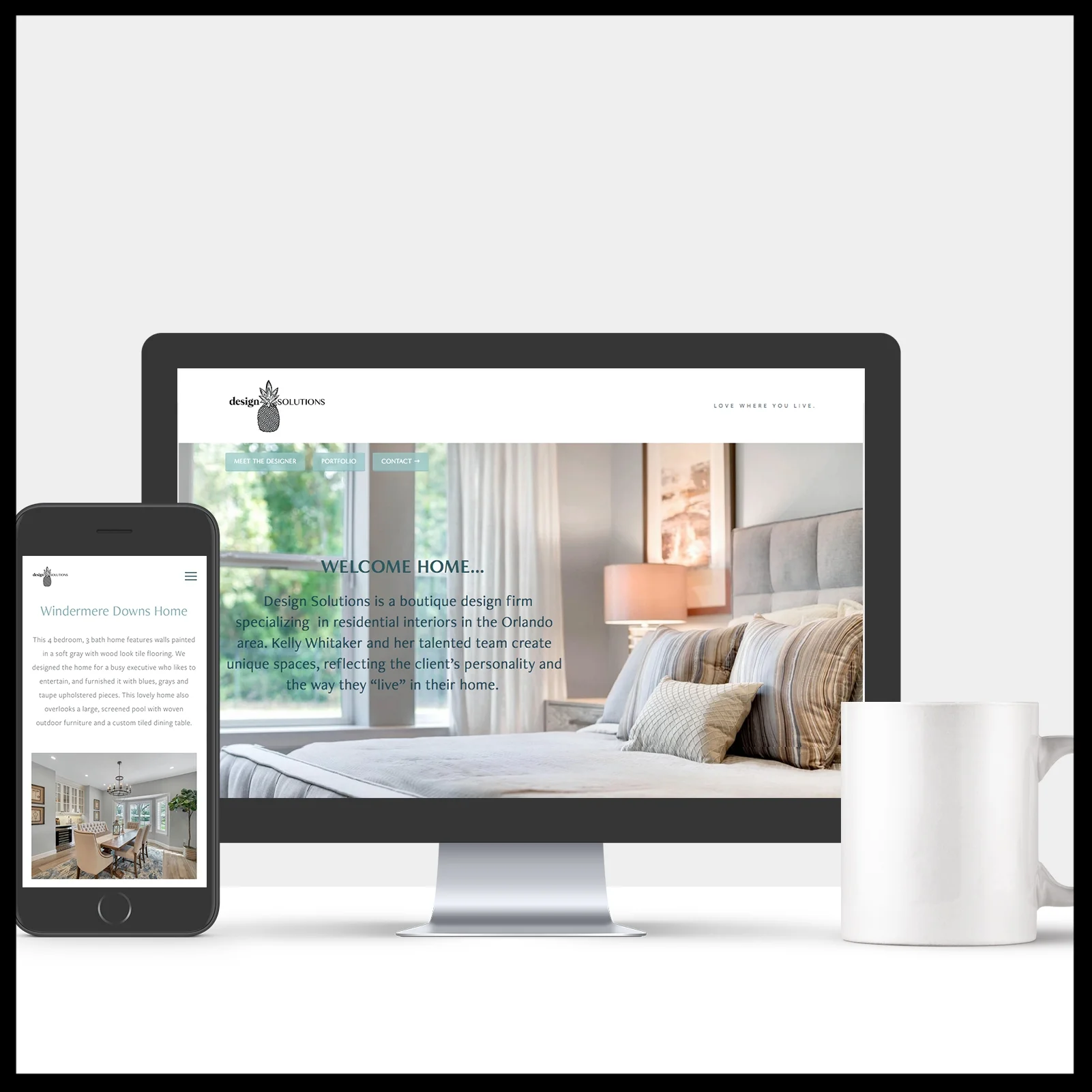 Design Solutions Orlando Website Designer.jpg