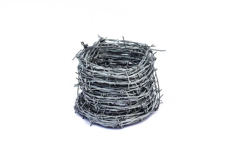 Garden Barbed Wire (74985).JPG