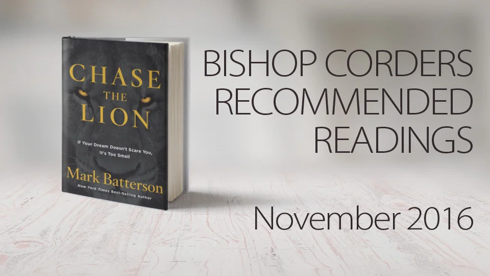 NOVEMBER: Chase The Lion