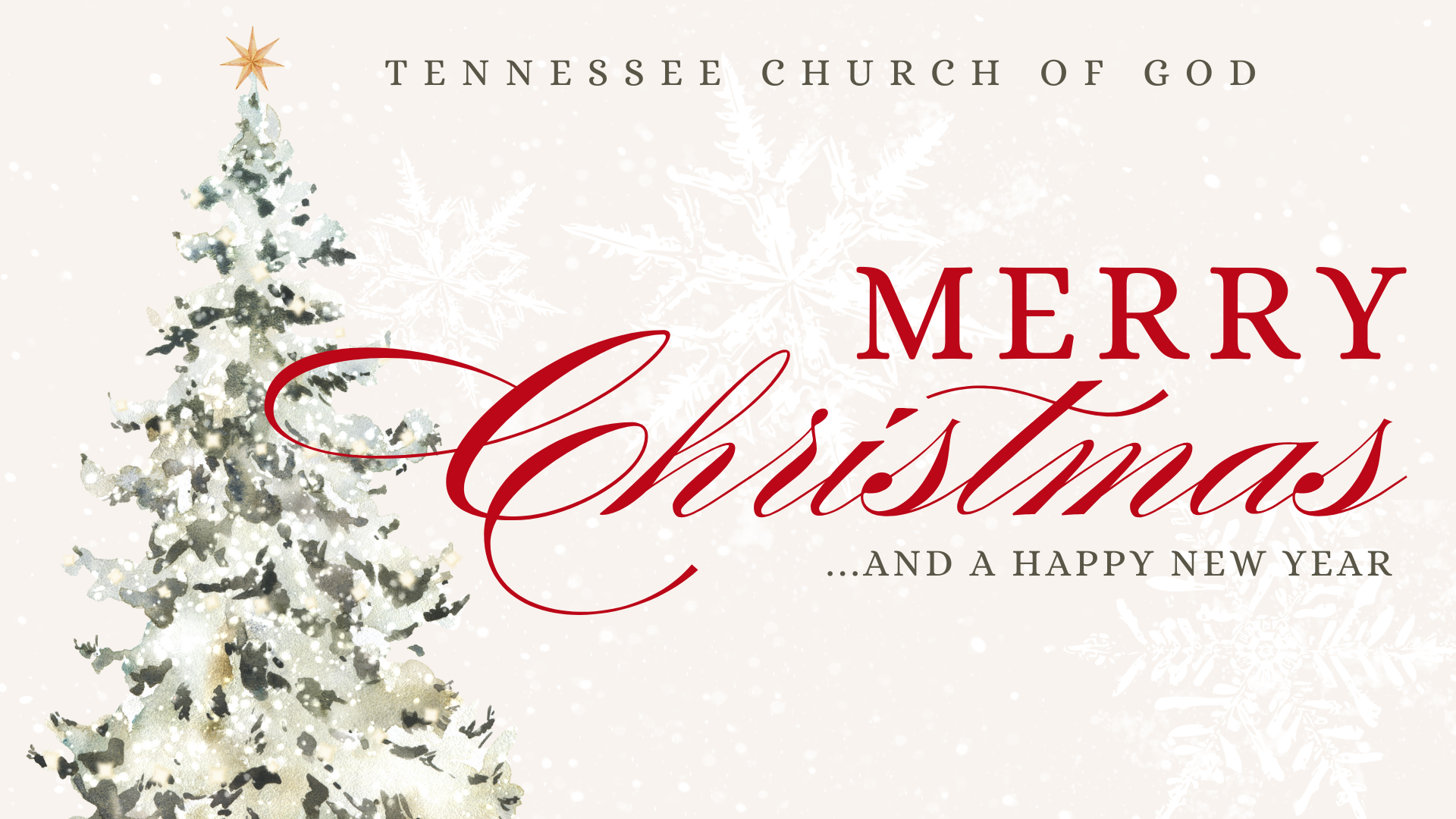 Merry Christmas Slider (1).png
