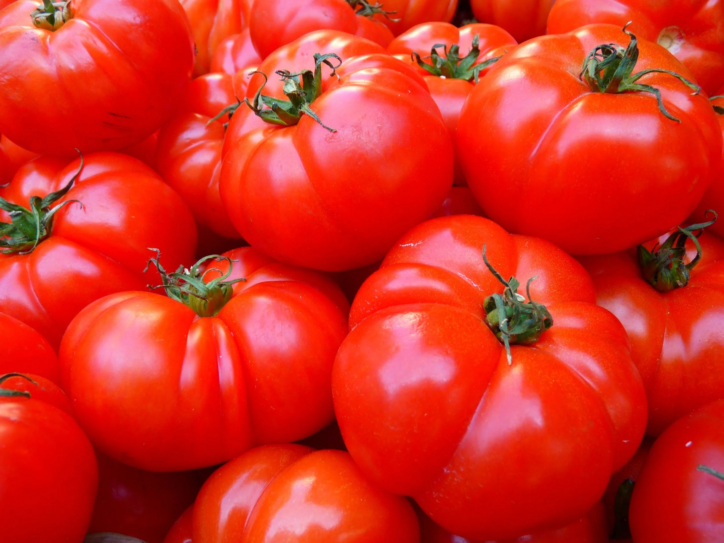 Red Slicing Tomatoes.jpg