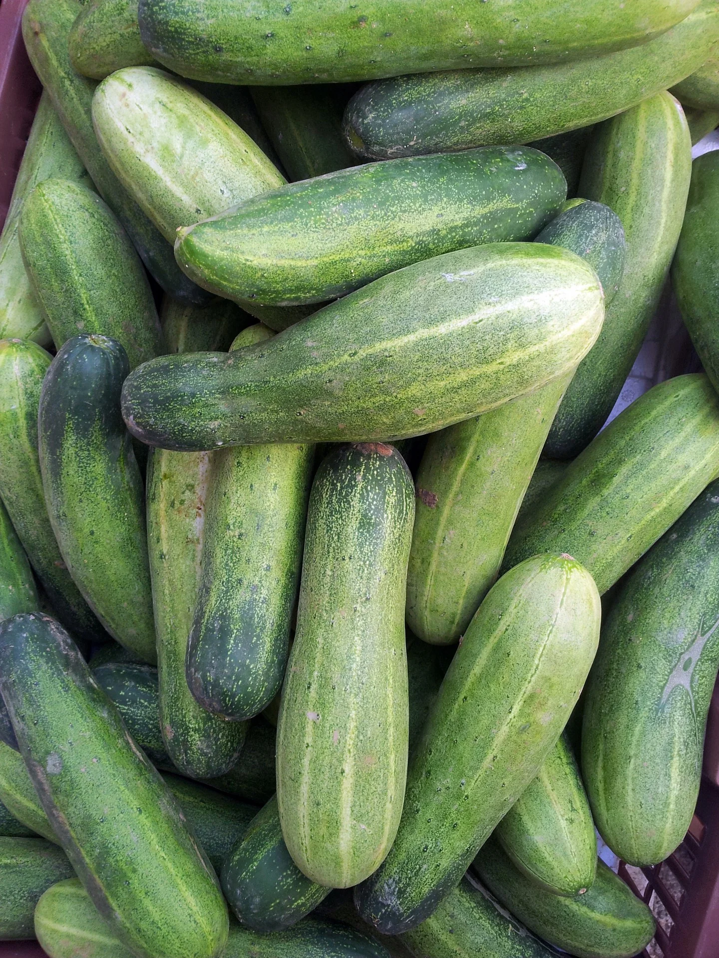 green-cucumber-in-the-basket.jpg