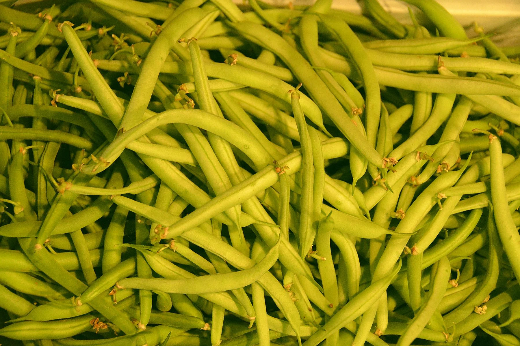 Green Beans.jpg