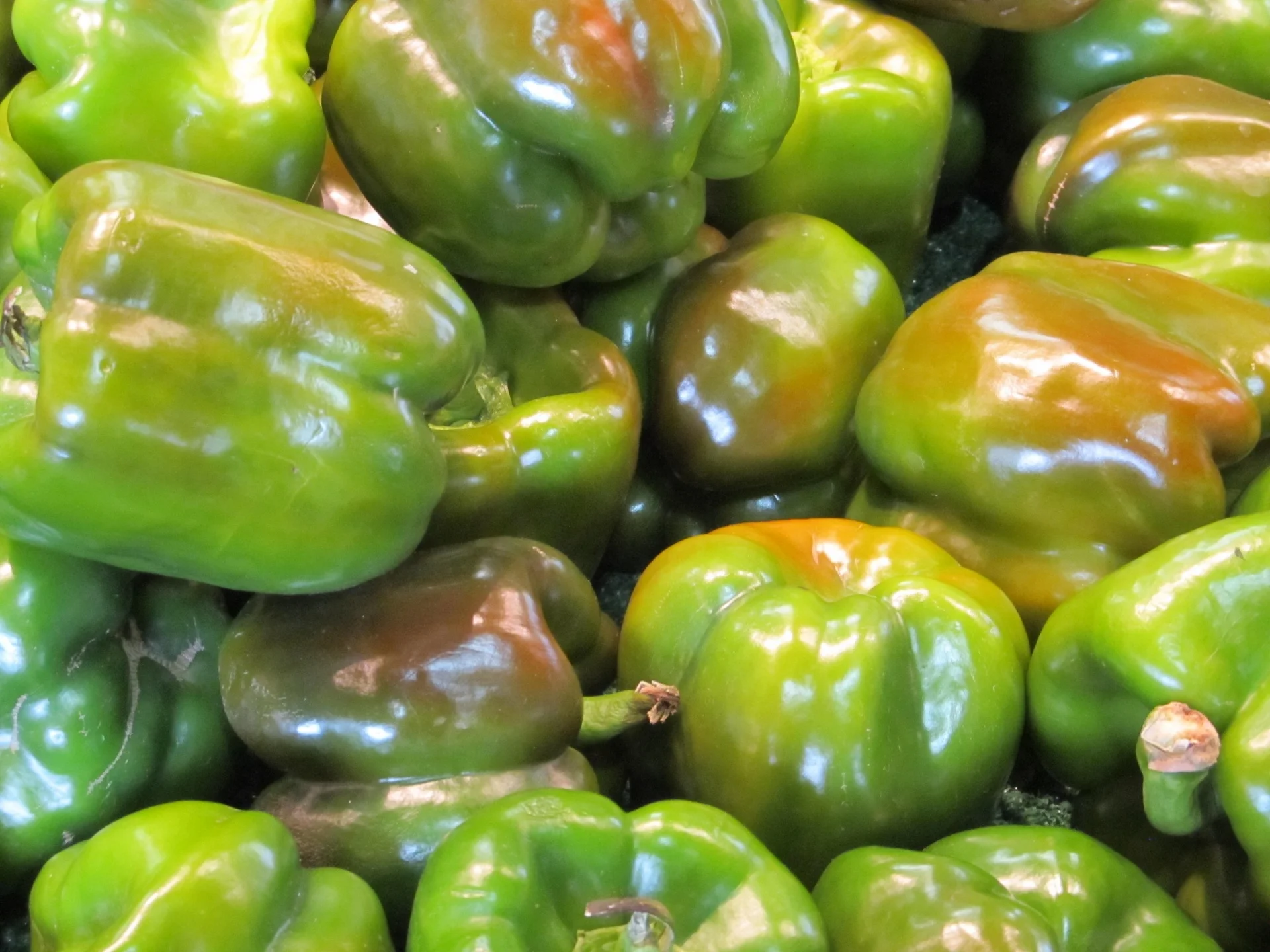 Green Bell Peppers.jpg