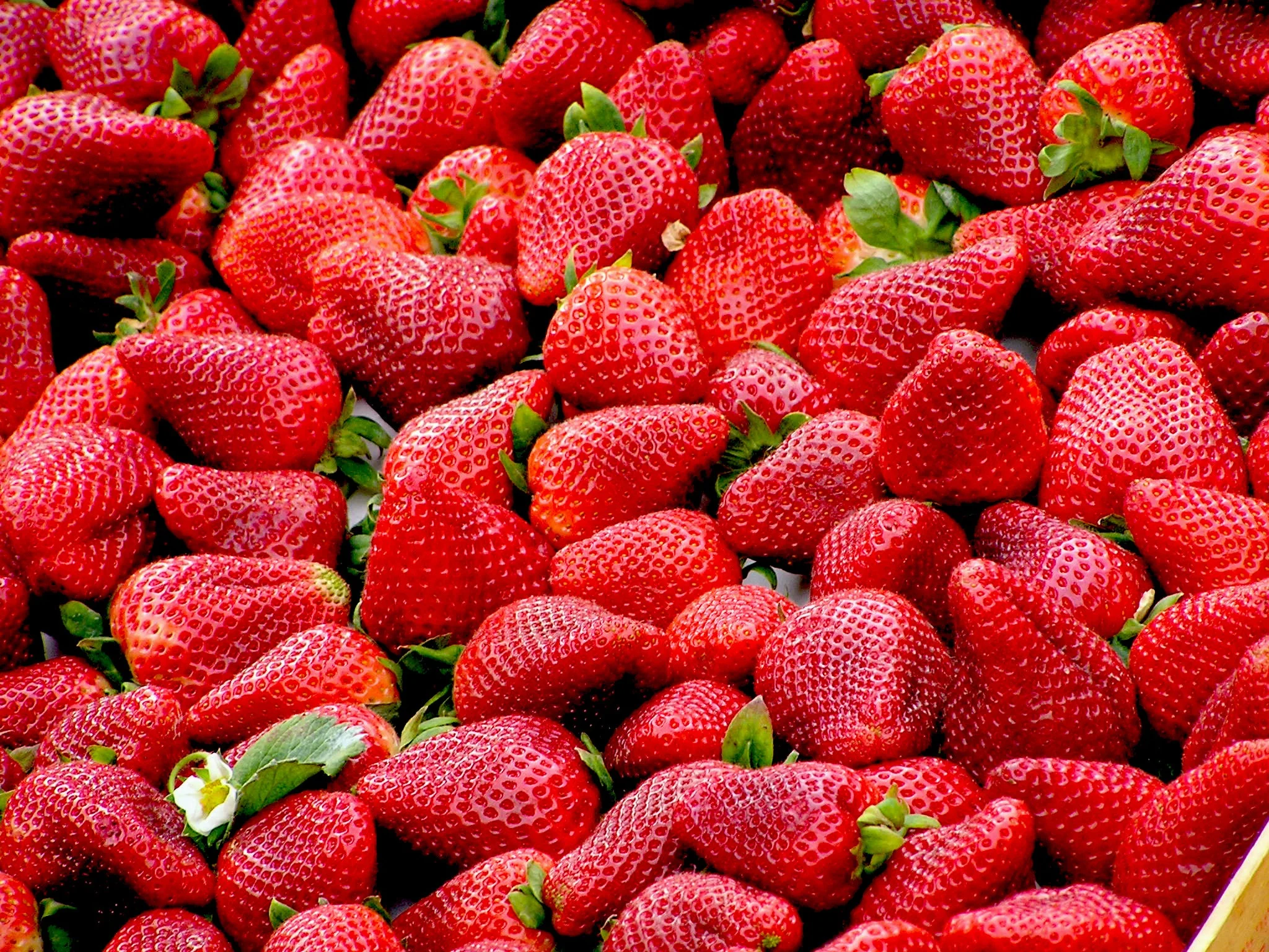 Strawberries.jpg