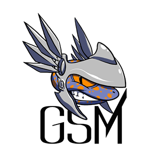 gsm+(1).png