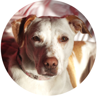 Sally (1).png