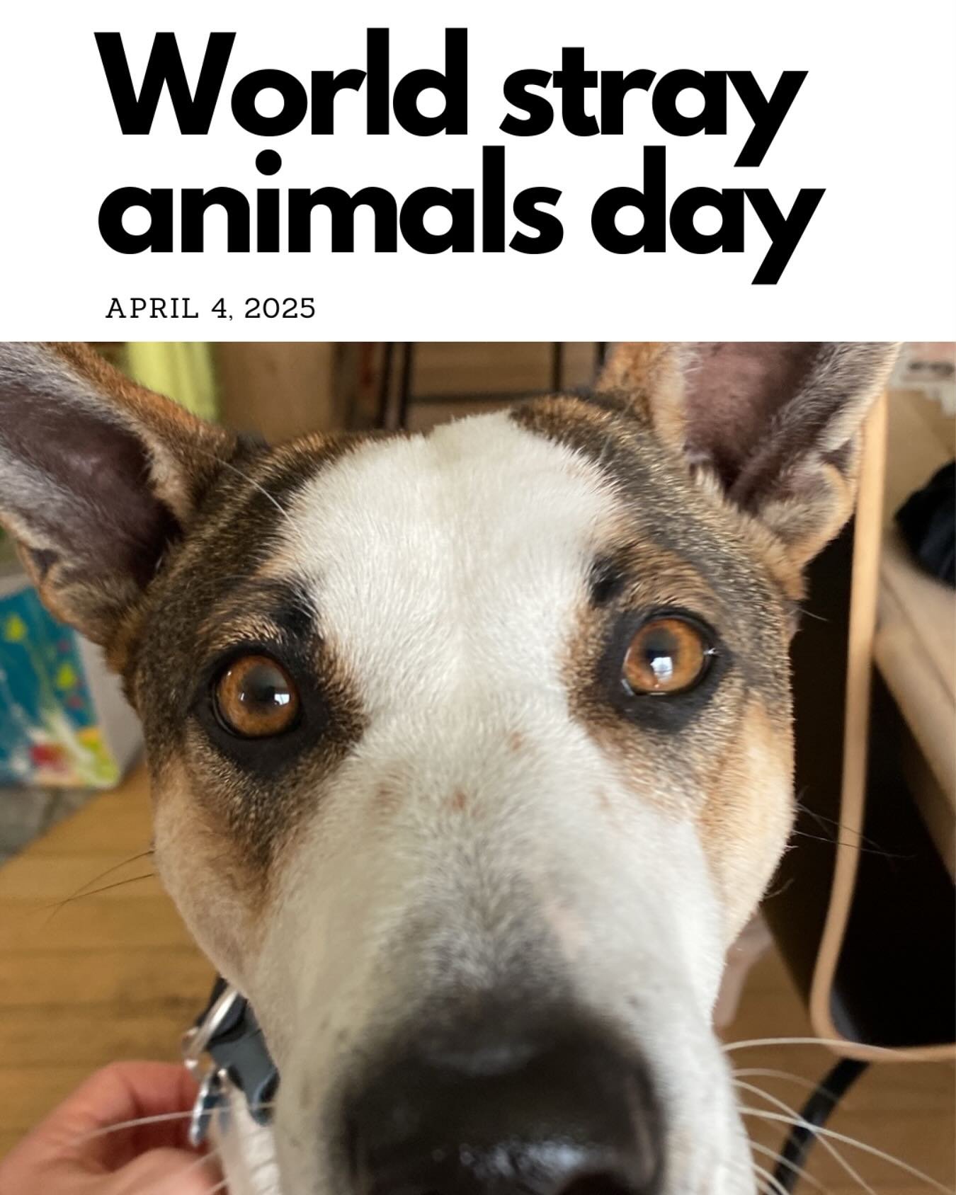 Pour en savoir plus sur l&rsquo;histoire de Ricky, PDG de Good Girl Good Girl, consulter la story. For more information about Ricky, Good Girl Good Boy CEO, check the story.