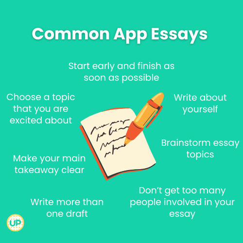 how to write a common app essay reddit