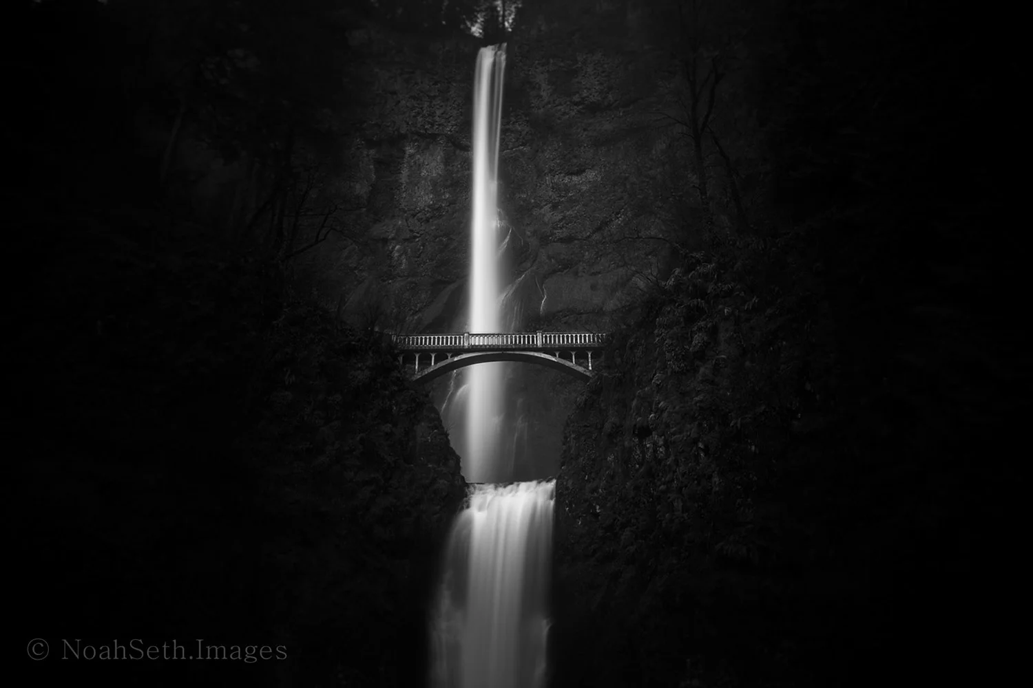 multnomah-squarespace.jpg
