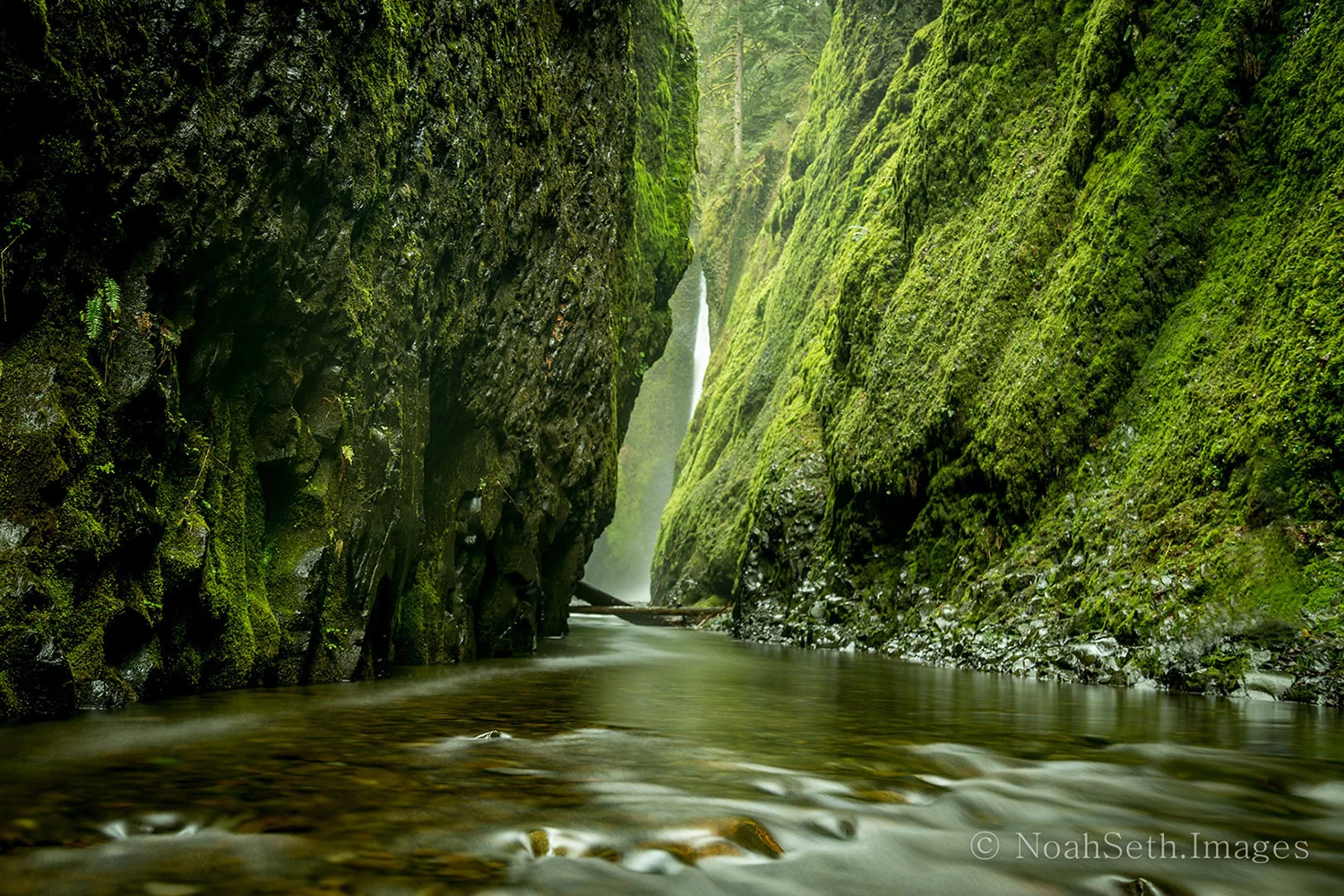oneonta-falls-squarespace.jpg