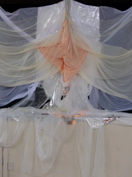 Emptiness Dancing with Andrea Juhan, 