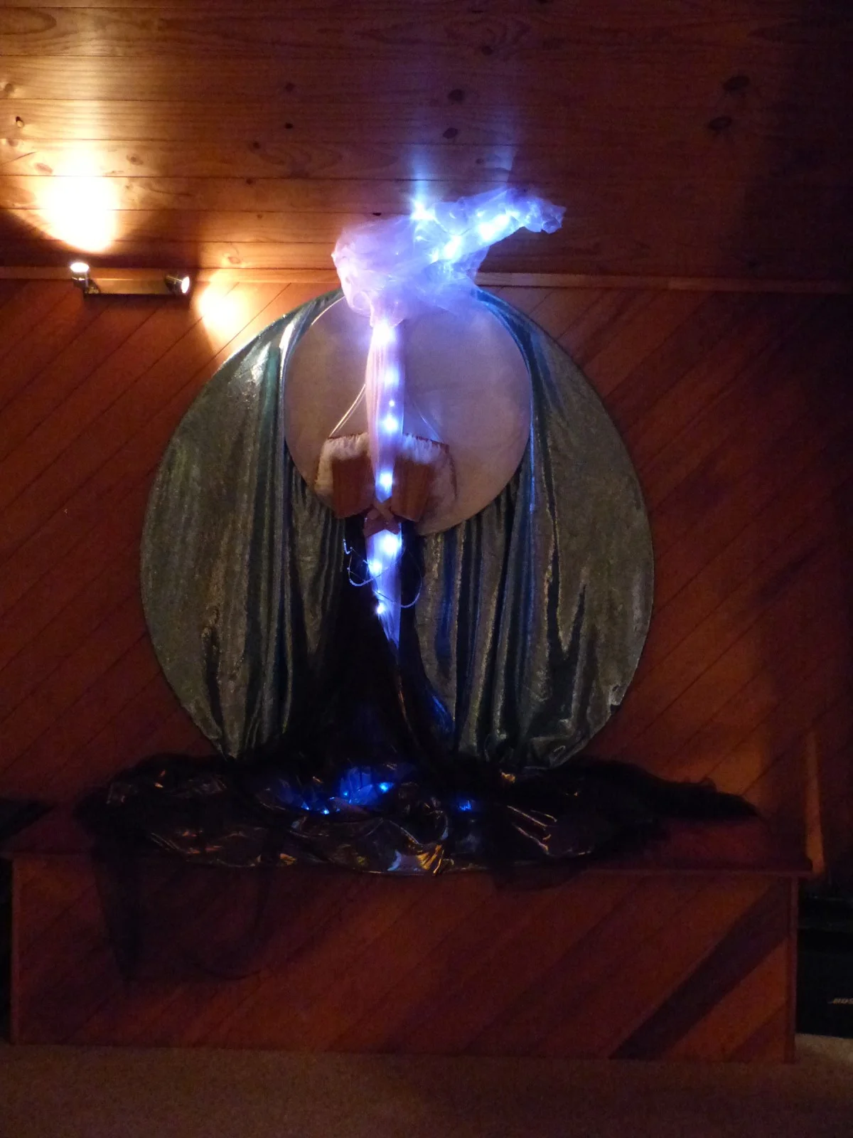 Vector of Soul with Geordie, May  2016 (11) resized.jpg