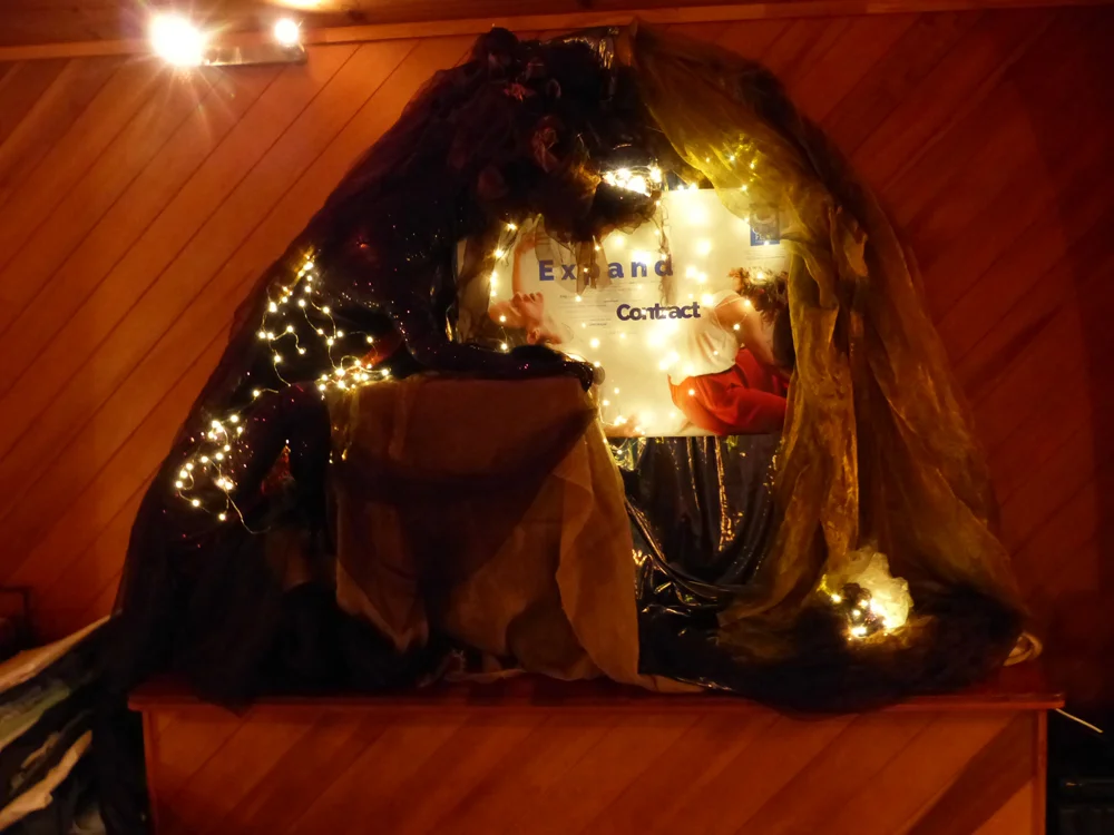 Bare Bones with Geordie, Nov 2016, Sat morning (1)  website.jpg