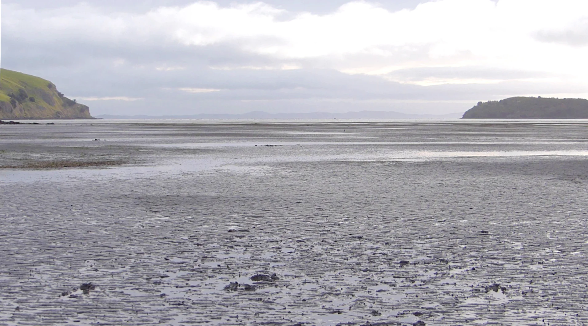 mudflats 1_bright.jpg