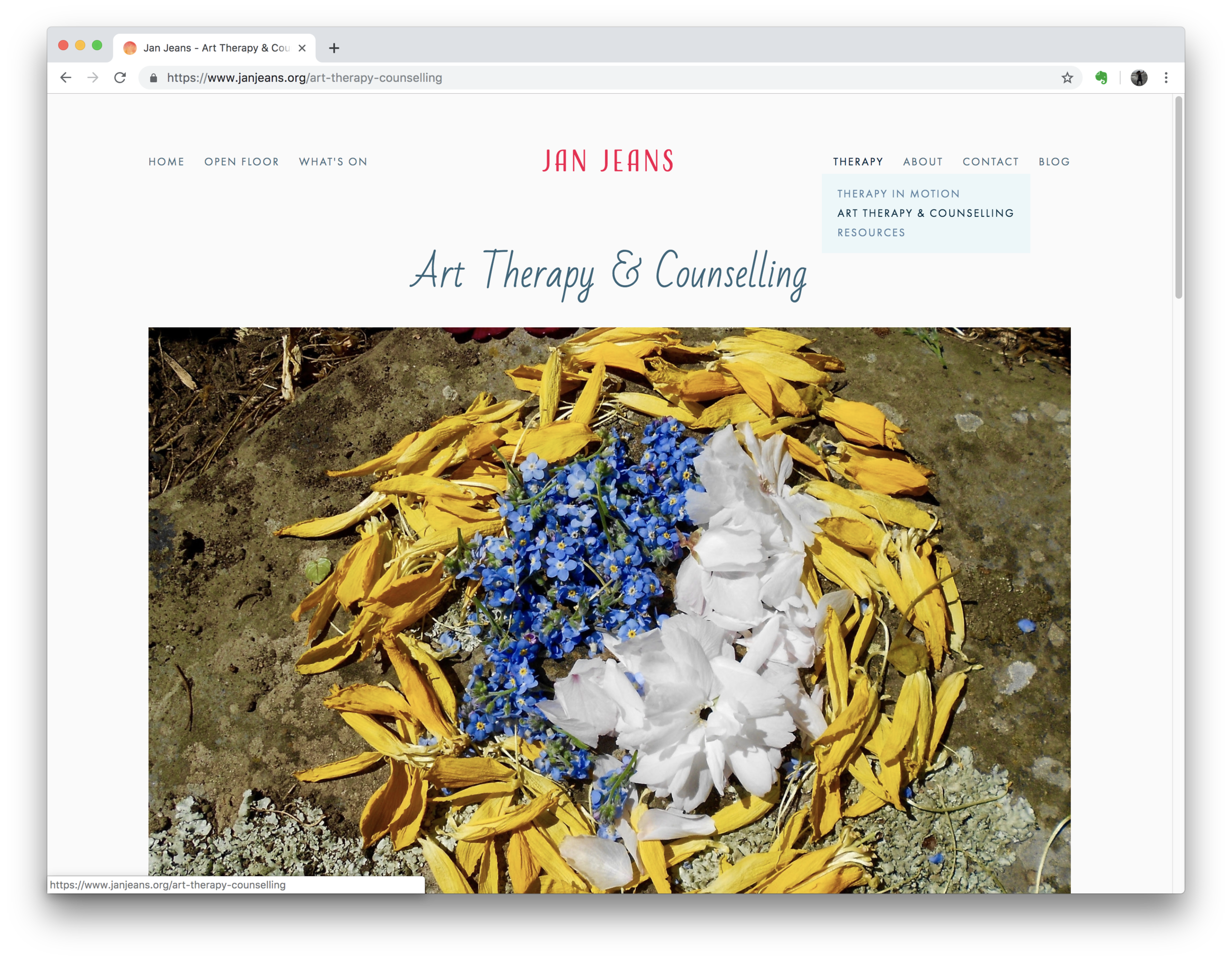 Jan Jeans Website (Squarespace)