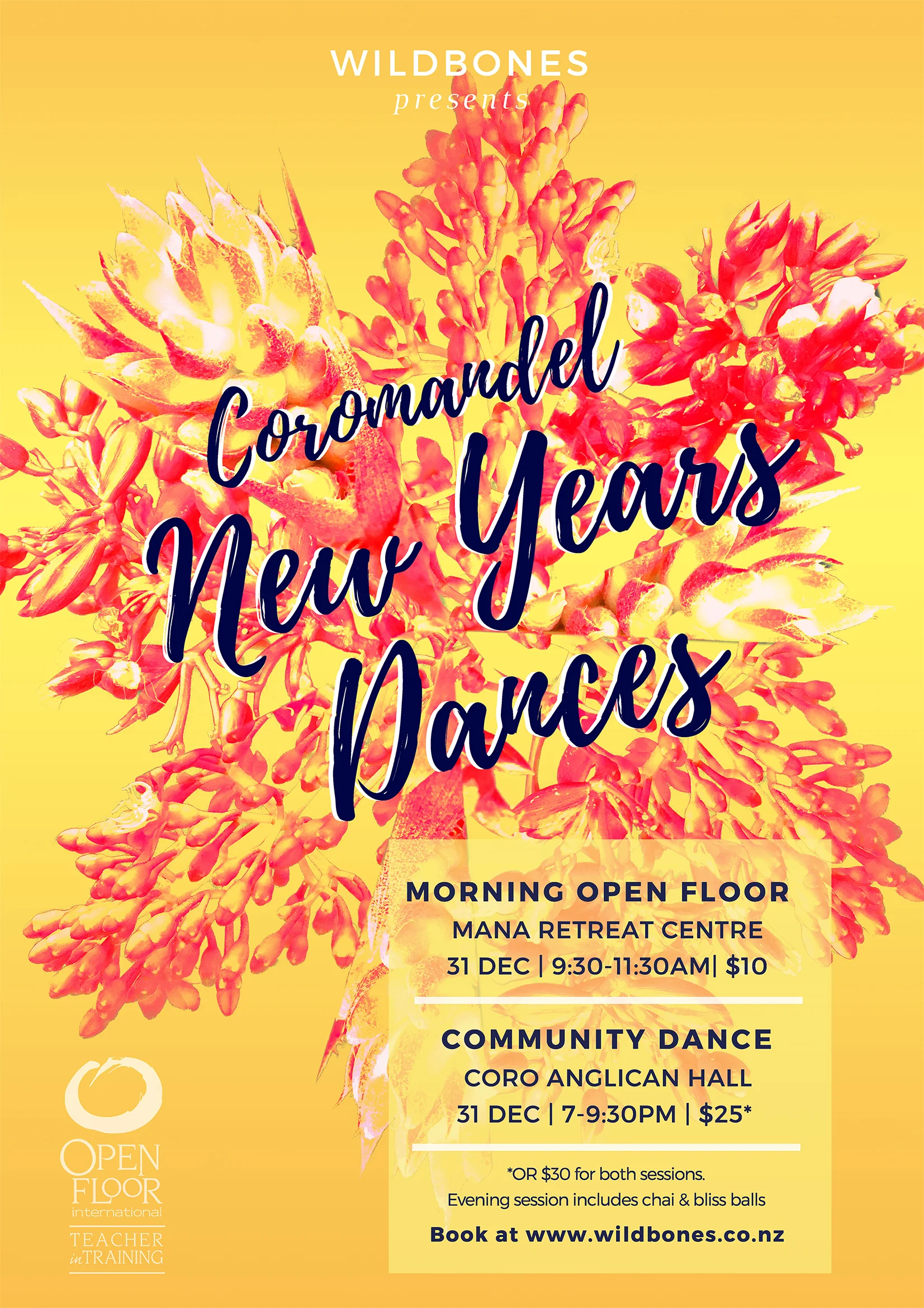WildBones New Years Dance poster