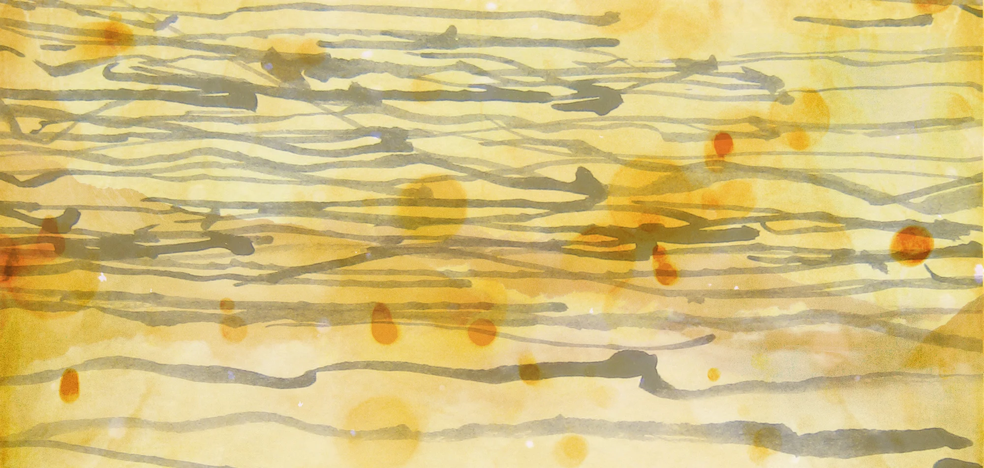 publication header.jpg