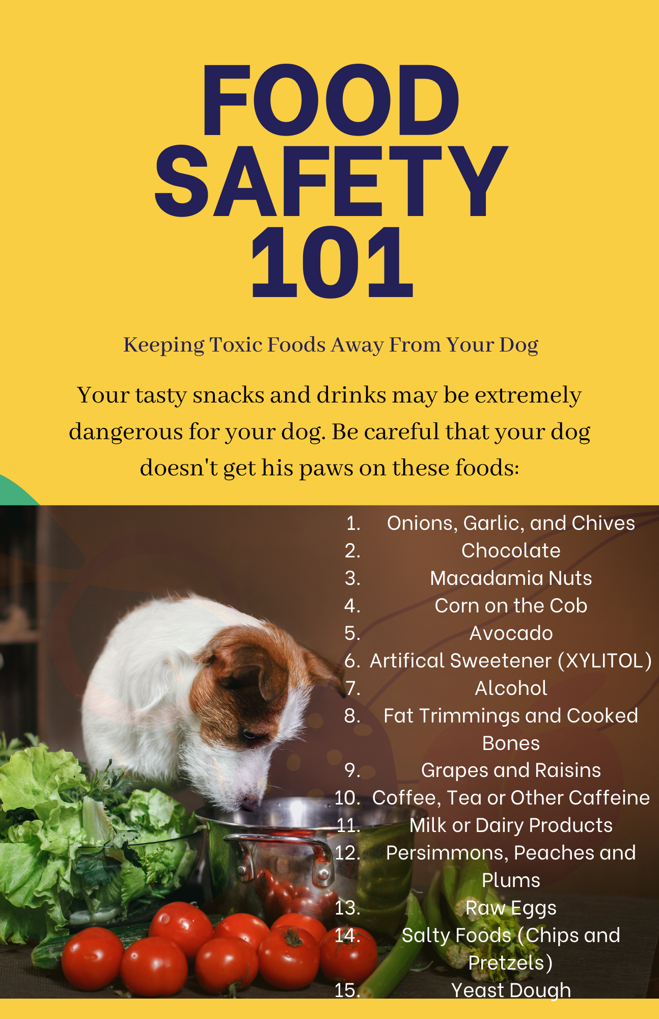 Toxic Foods for Dogs (1).png