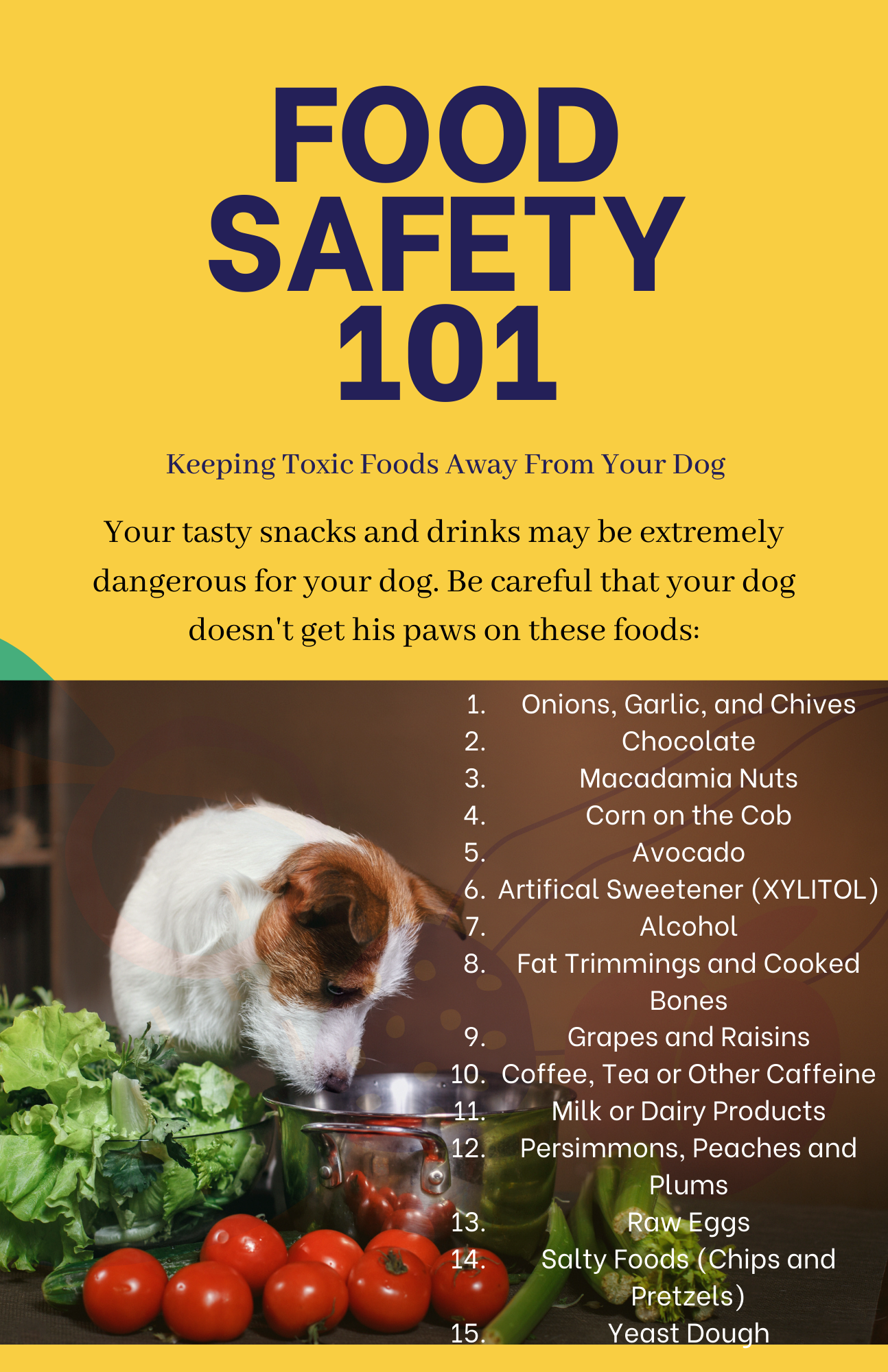 Toxic Foods For Dogs Poster