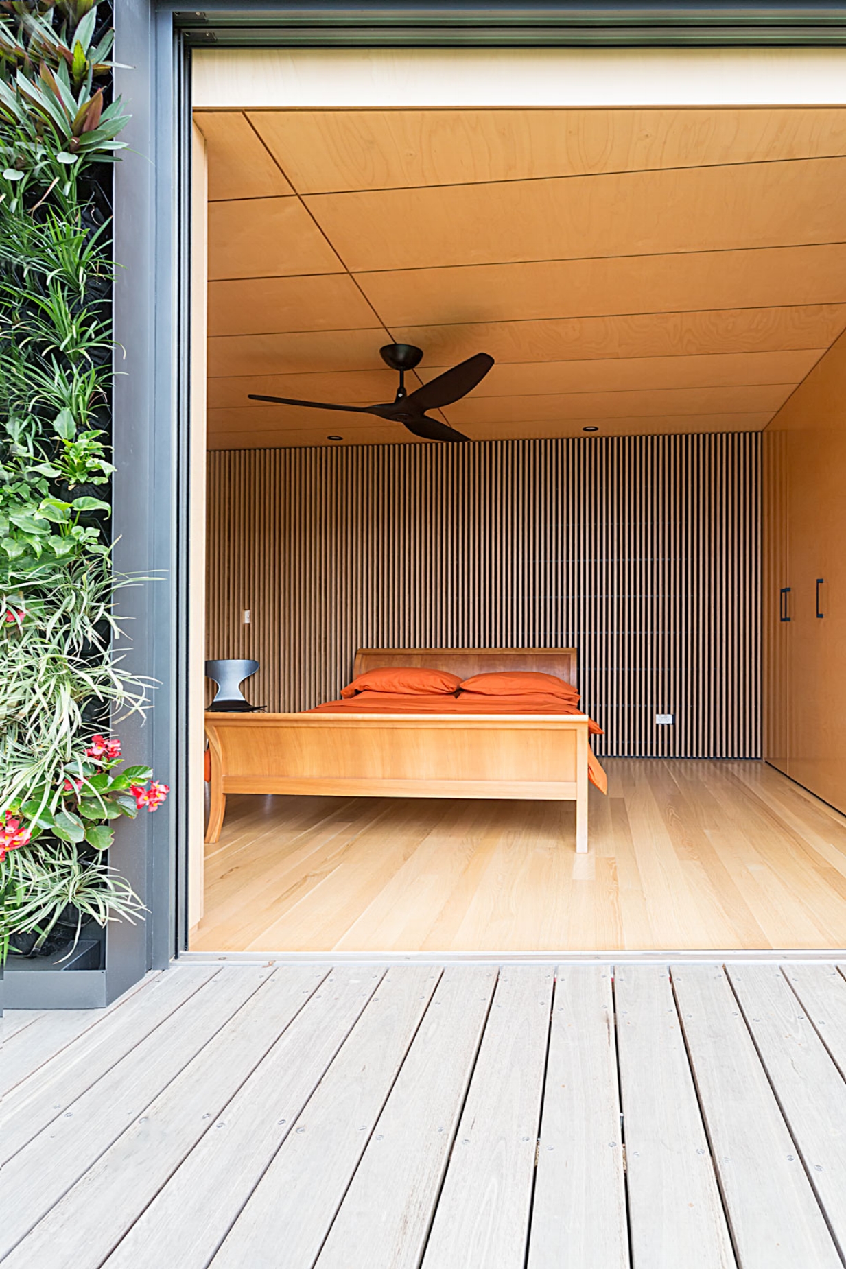 Indooroopilly Addition Green Wall Master Bedroom.jpeg