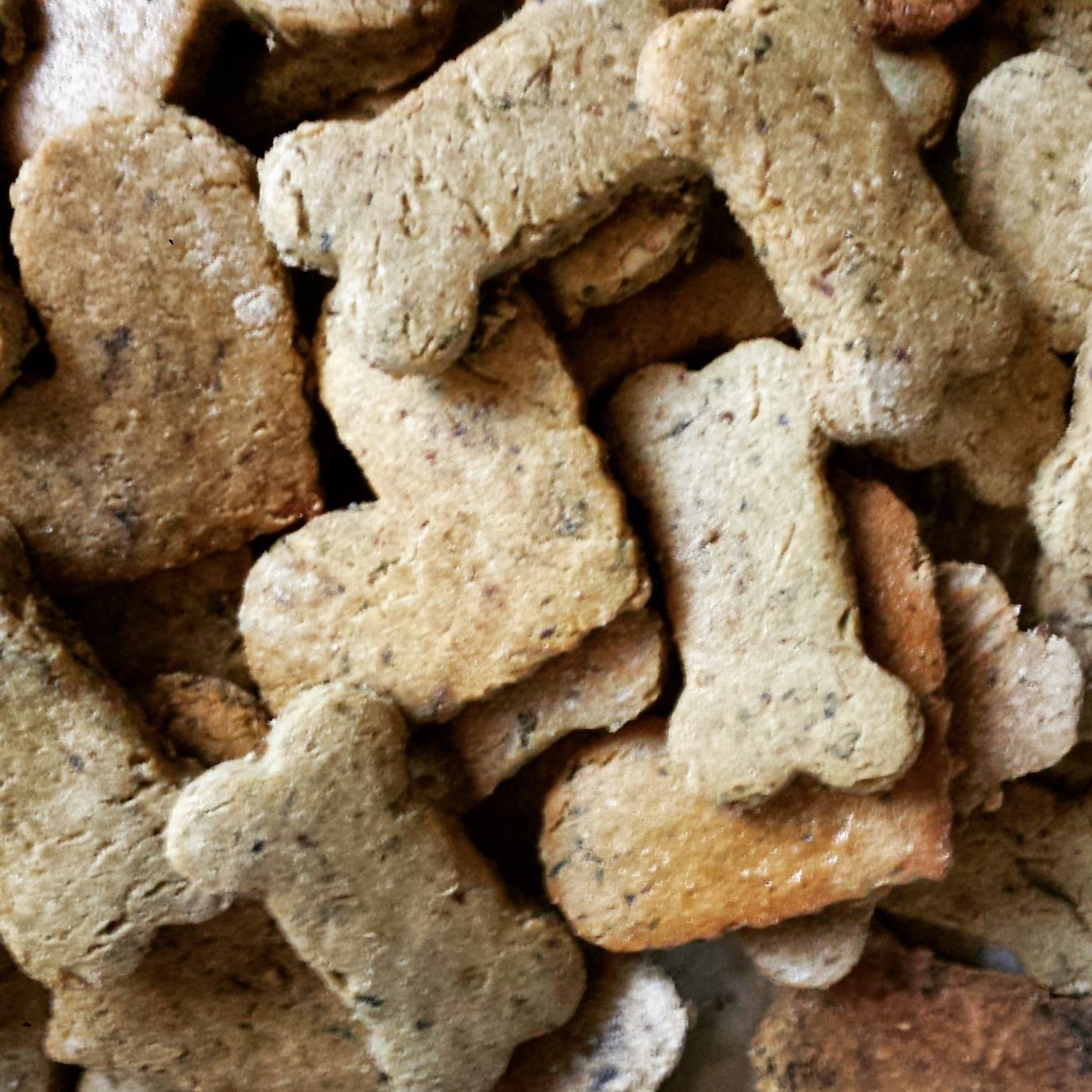 biscuits.jpg