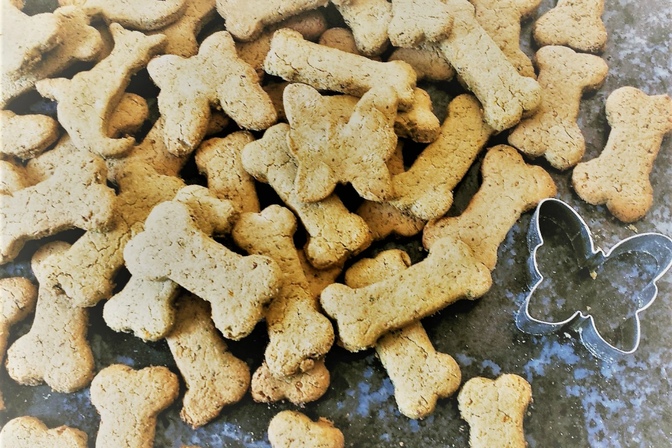 treats_960x640.png