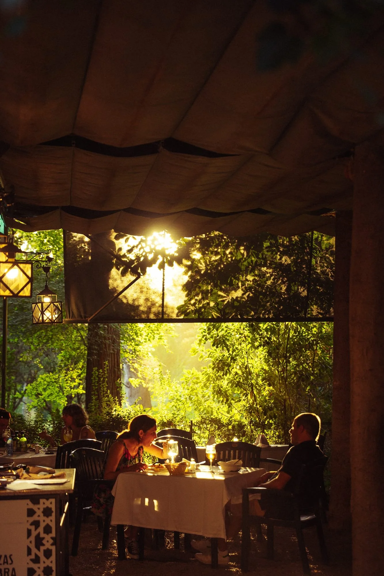 the garden.jpg