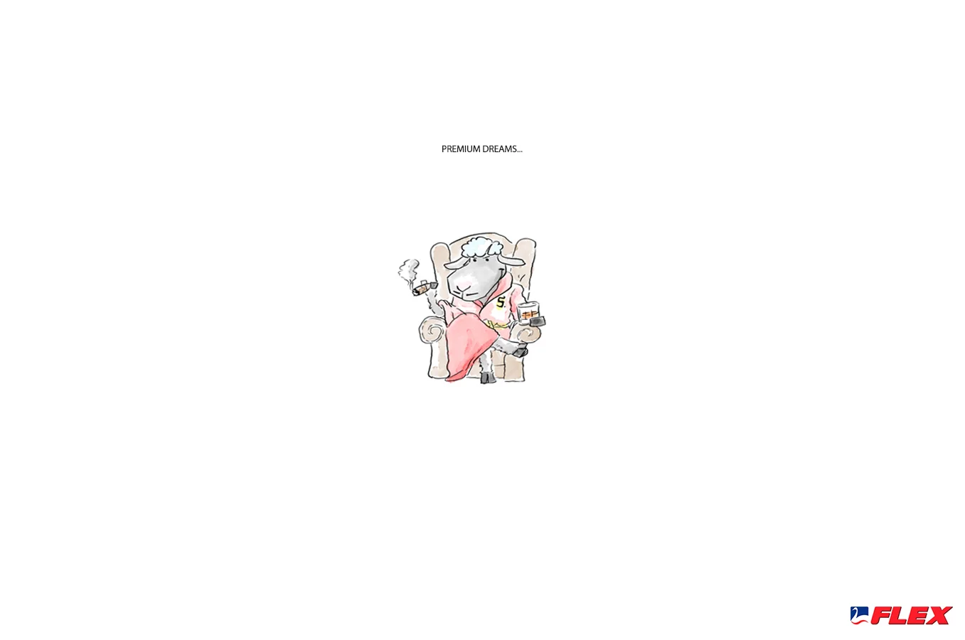 FLEX PREMIUM2.jpg
