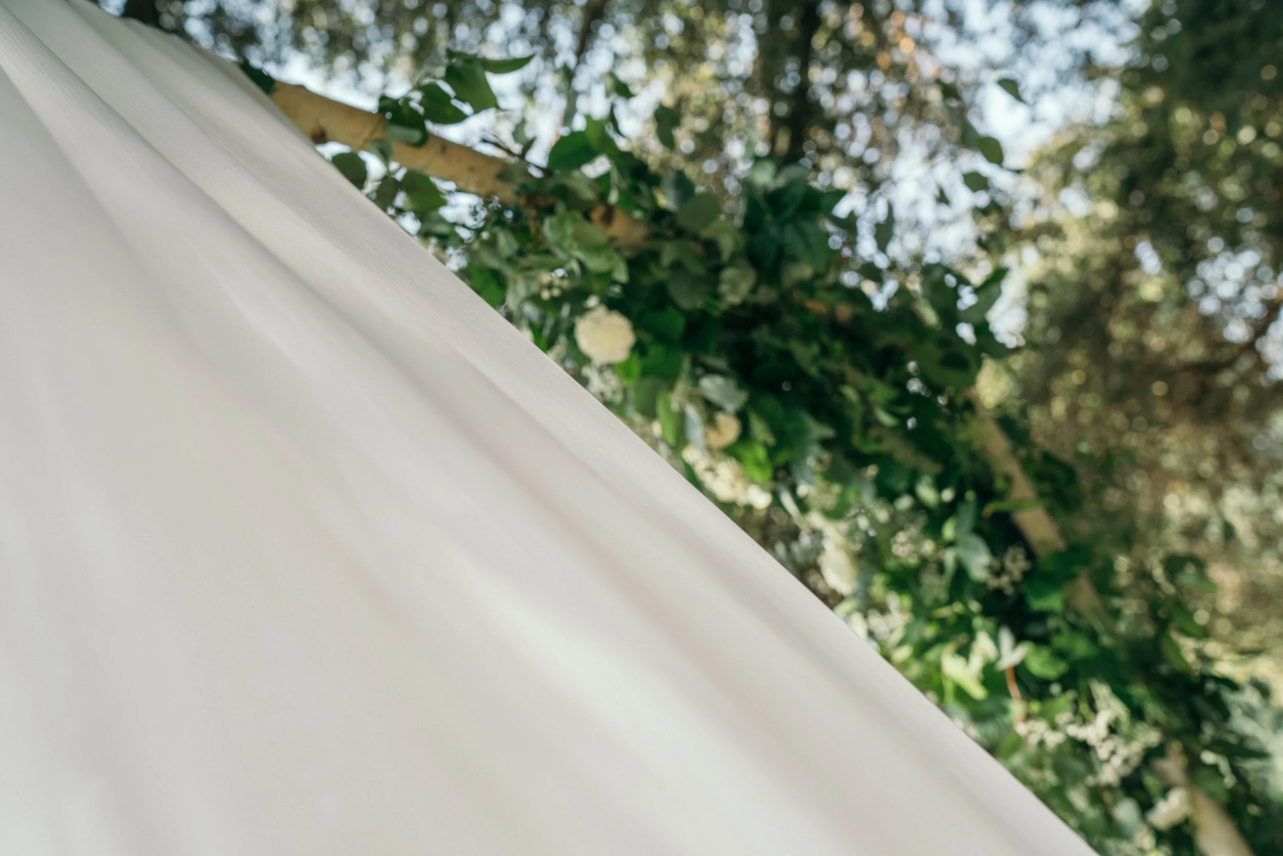 Liz &amp; Peter // Anaheim, California