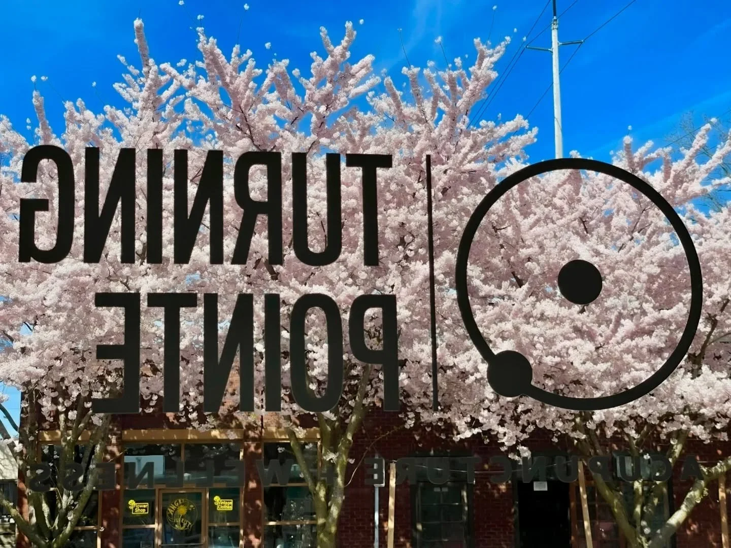 Spring is the season of harmony. This is the time to roam through gardens and forests. Open up your heart, get rid of stagnant energy, and encourage the budding qi of life, birth, and renewal to flow.
As nature awakens, so does our energy (Qi), makin