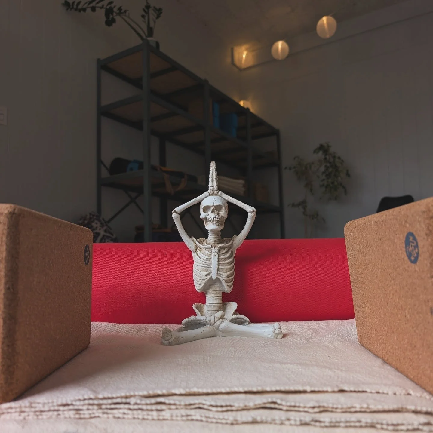 Yoga tonight y'all spookies! Bring your bones on over to our cozy studio for a nice and easy practice to settle the spirit and practice being a corpse...I mean savasana, we'll practice some savasana 💀
.
.
.
#yogapdx #therapeuticyoga #hathayoga #turn