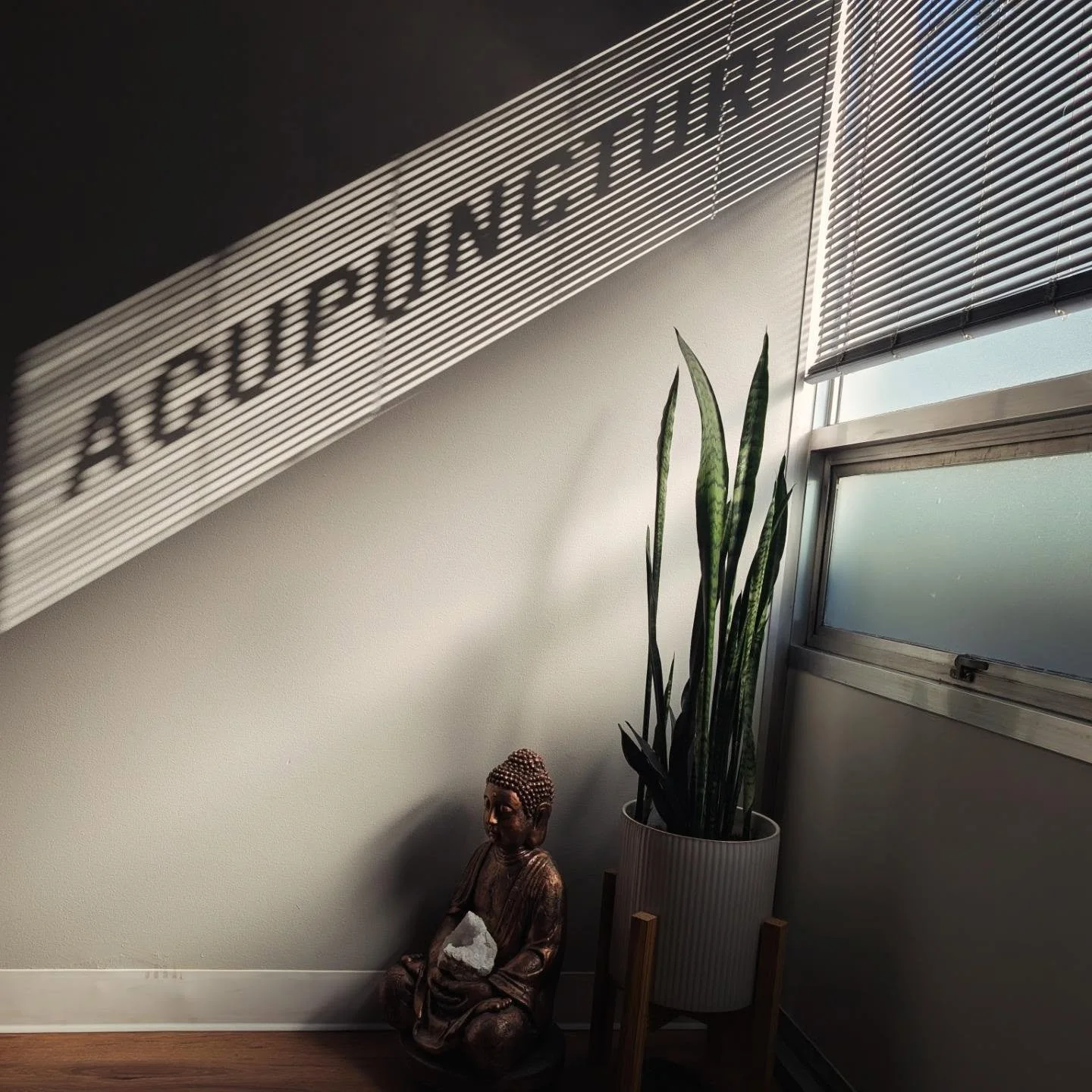 What a beautiful, light and shadow filled day in the clinic. Consider this your sign to book that appointment you've been thinking about. There are a few openings for acupuncture and massage still this week. We're here for you. 💞✨🙌
.
.
#turningpoin