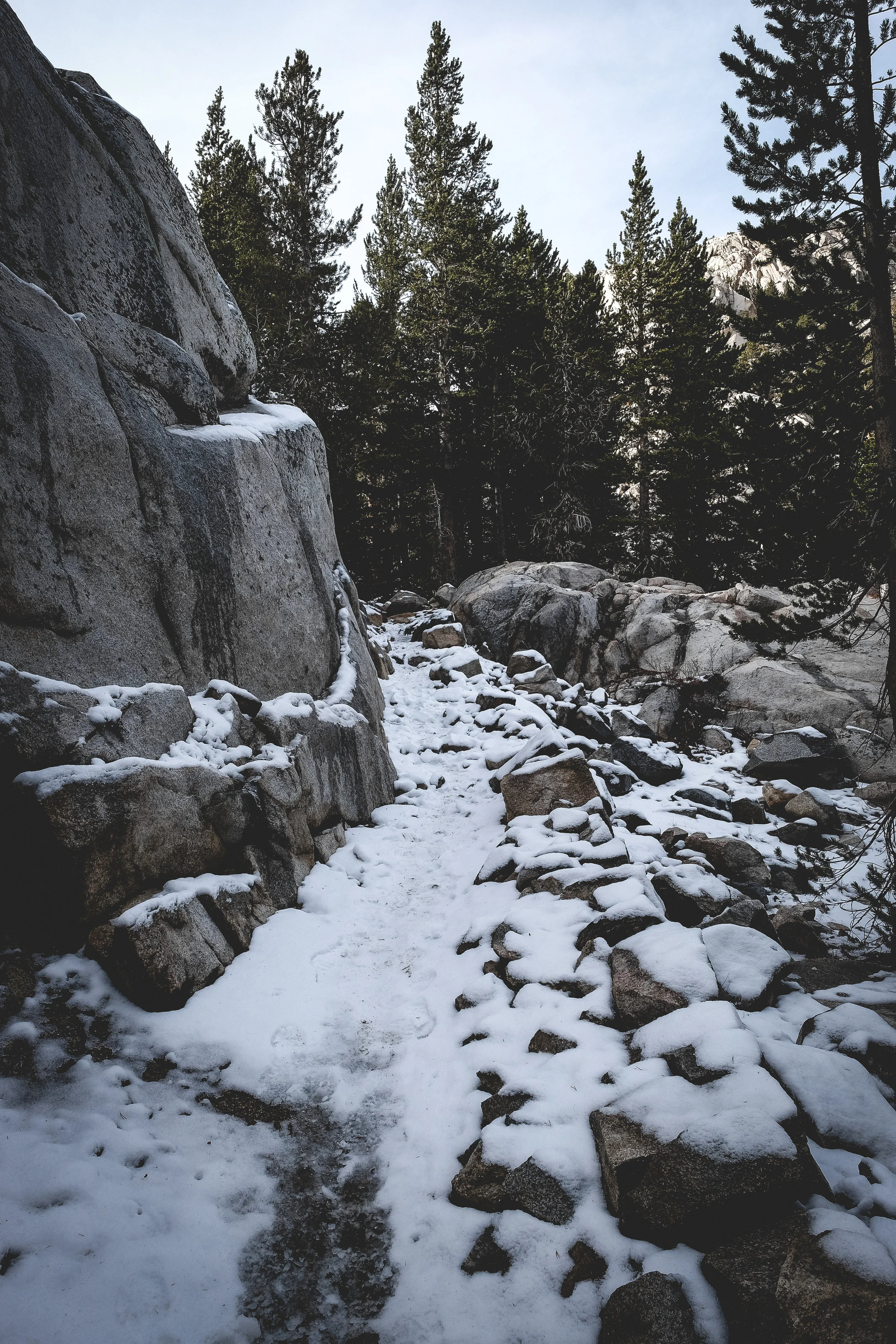 BPNF (60 of 34).jpg