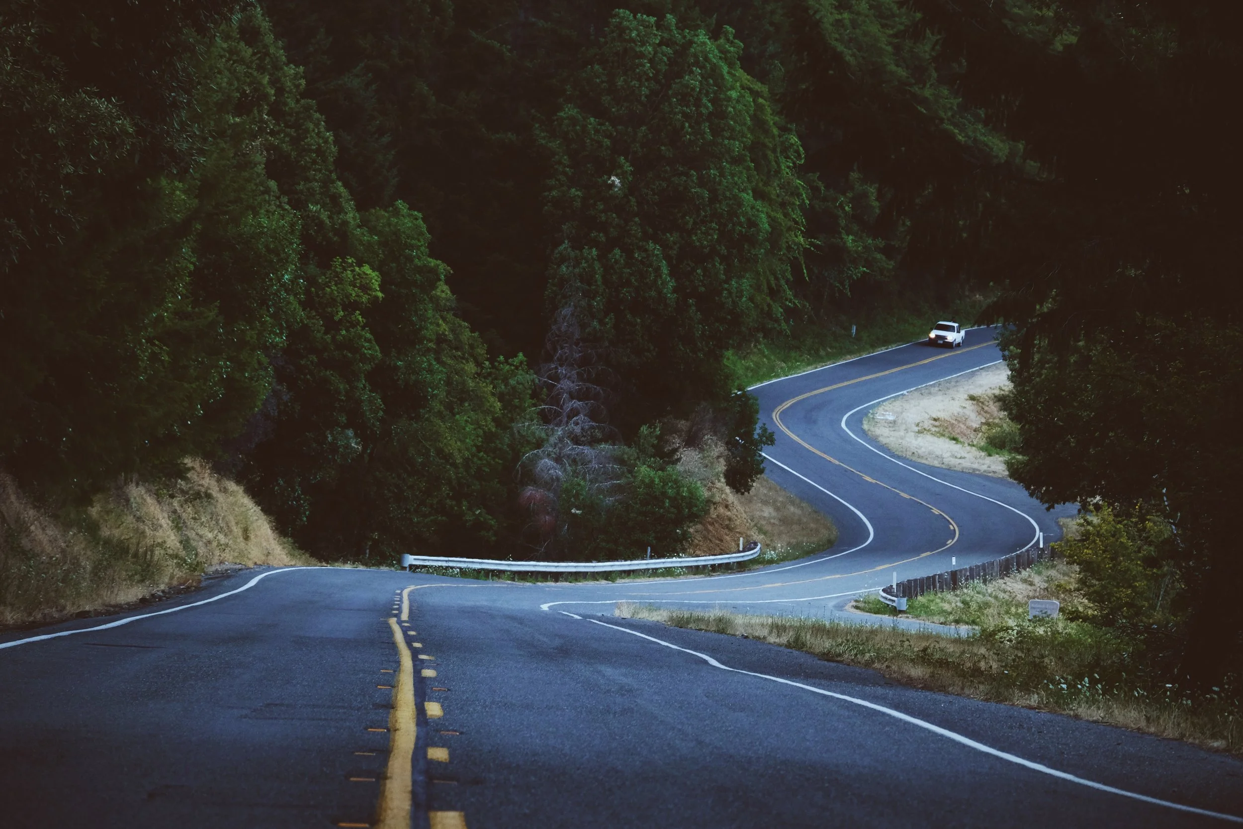 The winding roads of the Six Rivers National Forest
