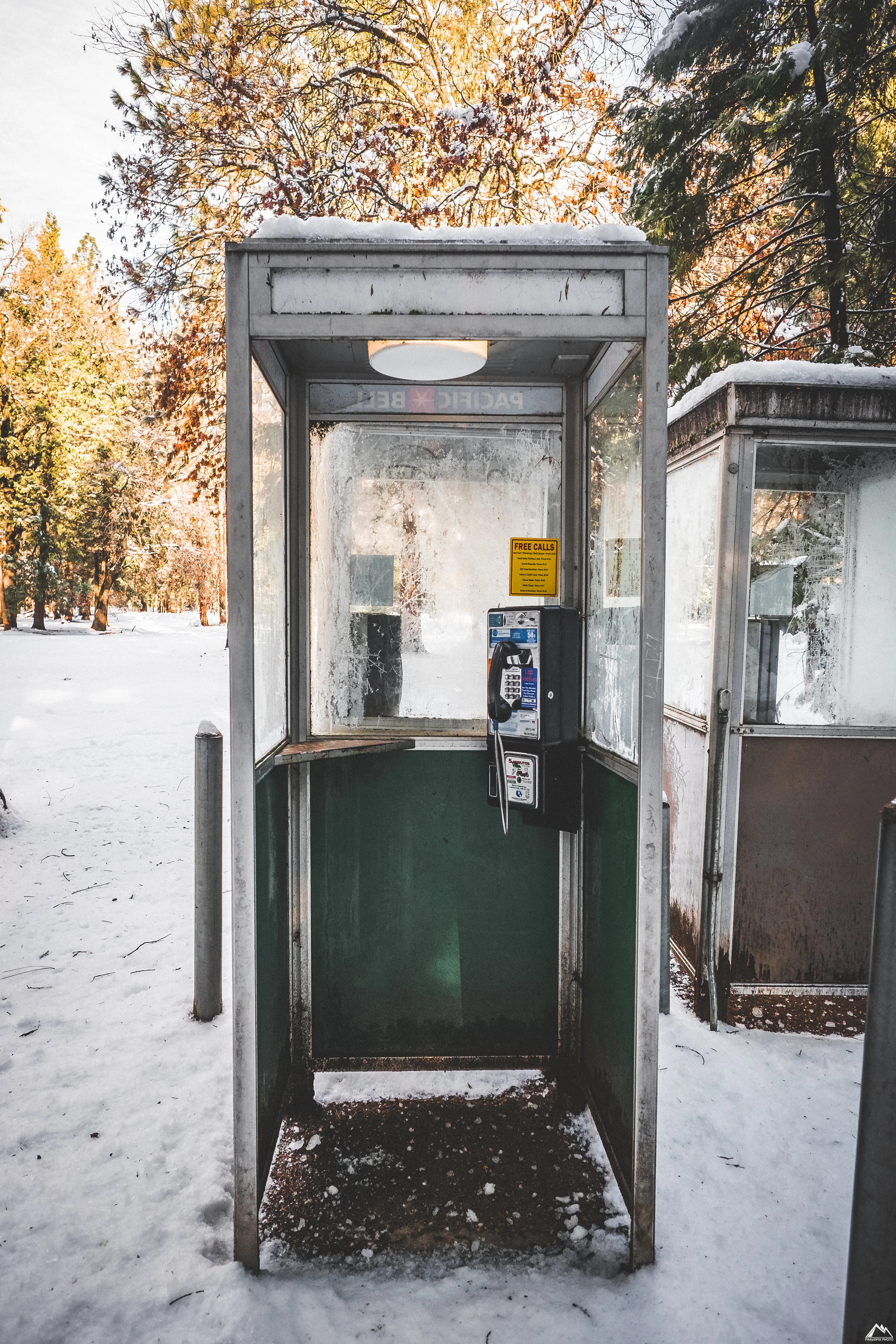 Yosemite_shotss (9 of 17).jpg