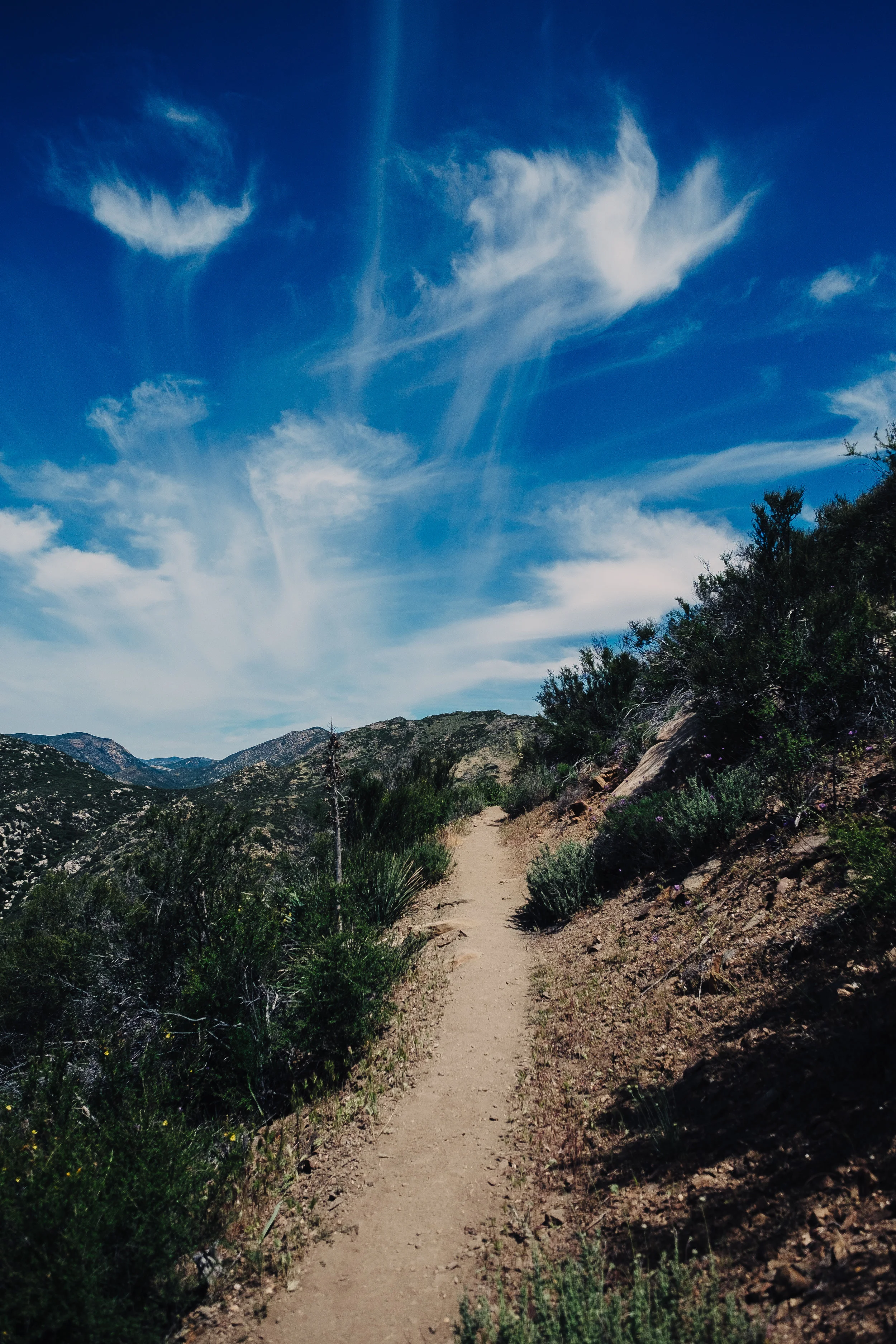 final views before I descend back to civilization 